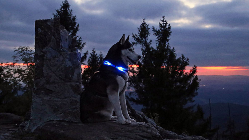 Ambiente nocturno con cuello iluminado LEUCHTIE sobre una ruina de castillo