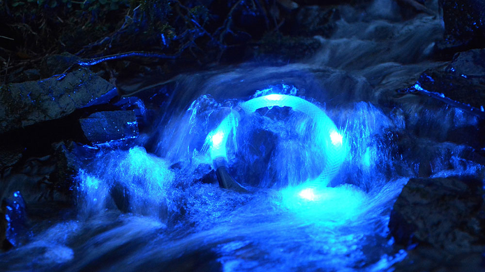 Cuello luminoso LEUCHTIE en el arroyo de la montaña