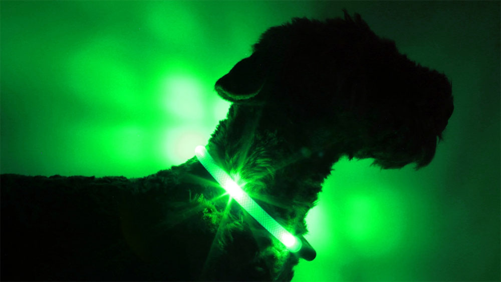 Collar luminoso LEUCHTIE en la versión extremadamente brillante verde en tubo transparente