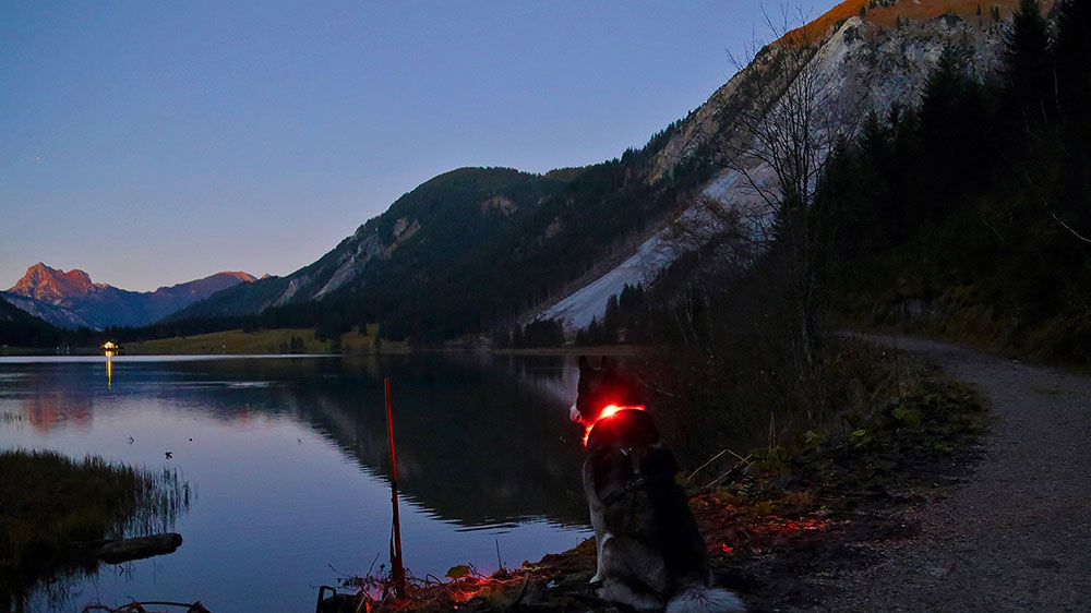 Ambiente nocturno en el lago de montaña con cuello de linterna LEUCHTIE