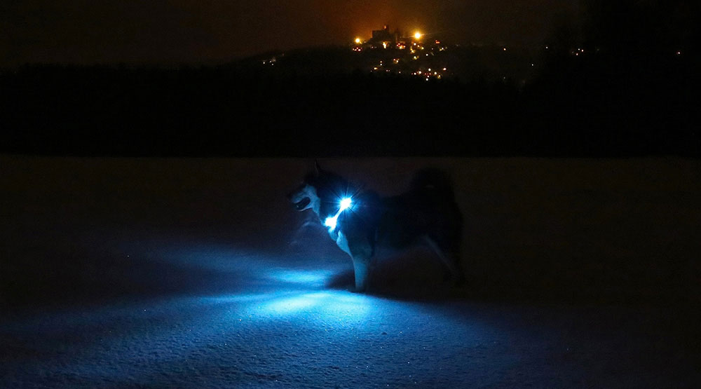 El collar LEUCHTIE iluminado ofrece un brillo extremo desde todos los lados